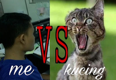 Me versus kucing