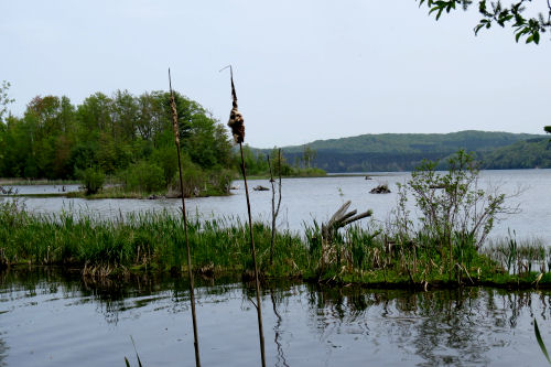 Hodenpyl Dam Pond