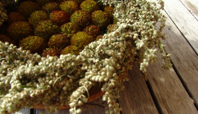 Tischschmuck aus Beifußkranz mit Samenständen der Kokardenblume