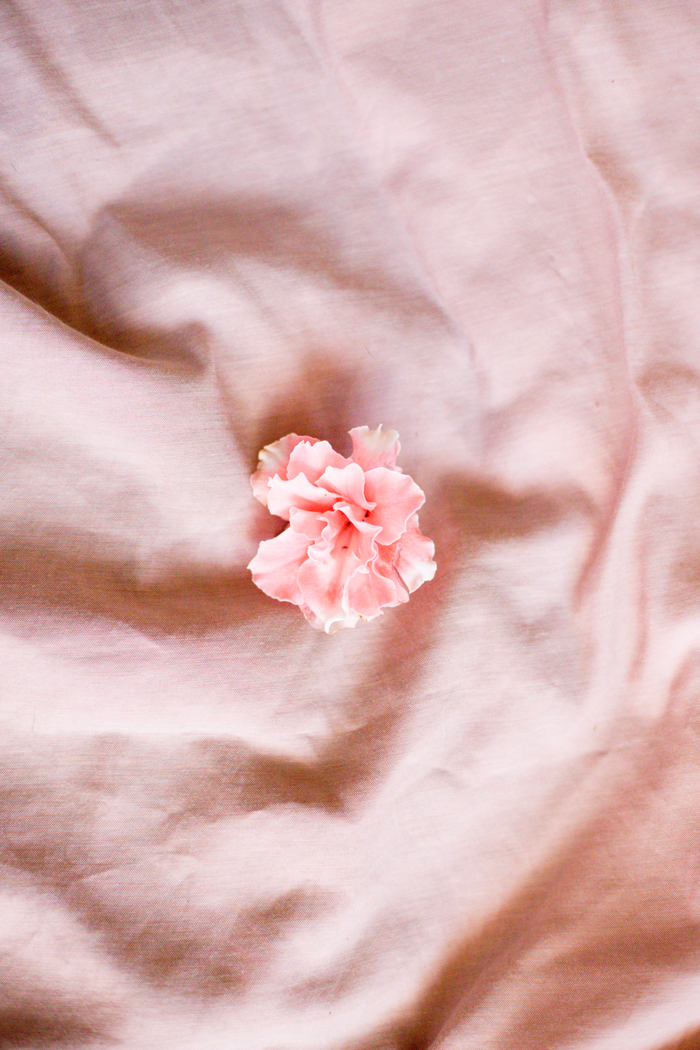 pink flower on pink sheet