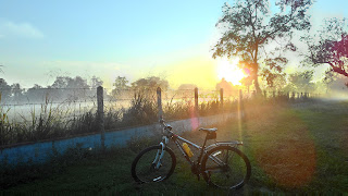 ภาพวิวตอนเช้าสวยๆ, ภาพดอกไม้ยามเช้าสวยๆ, ภาพยามเช้าสดใส, รูปพระอาทิตย์ขึ้นตอนเช้า, รูป ดอกไม้ สวัสดี ตอน เช้า, ภาพธรรมชาติยามเย็น, ภาพสวัสดีตอนเช้าสวยๆ, รูป ธรรมชาติ ยาม เช้า 2011, ภาพ ดอกไม้ สวย ๆ น่า รัก ๆ