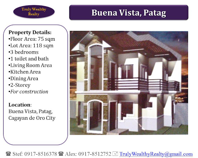 Buena Vista Patag House and Lot