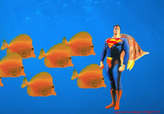 Superman desktop wallpapers Superman Standing Tall at Fishes Aquarium wallpaper