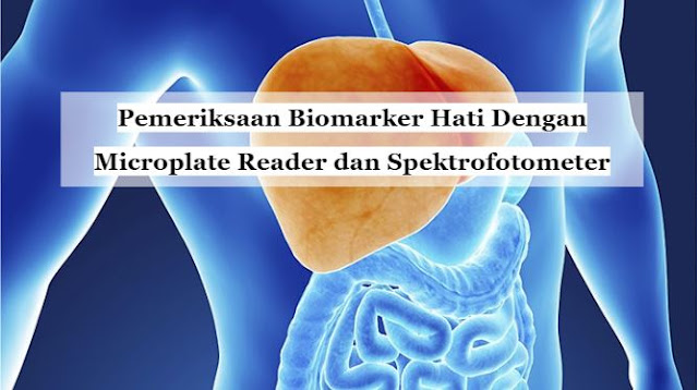 Pemeriksaan Biomarker Hati Dengan Microplate Reader dan Spektrofotometer