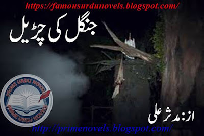 Jungle ki churail novel online reading by Mudasar Ali