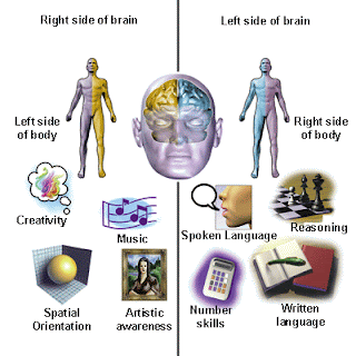 Rahasia Otak Kiri dan Otak Kanan
