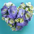 Flower Heart Love Wallpaper