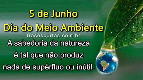 Frases: Dia Mundial do Meio Ambiente