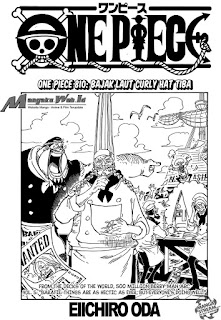 Cover One Piece 810