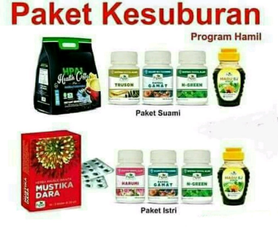 program hamil herbal