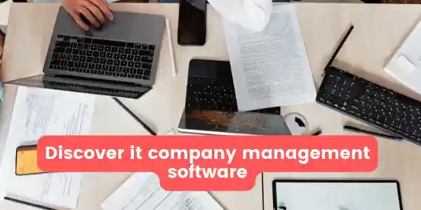 Types It company management software