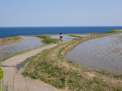 白米千枚田