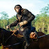 Baru Tayang Beberapa Hari, "Kingdom of the Planet of the Apes" Berhasil Kumpulkan Rp 104 Miliar