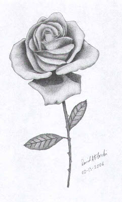 Drawings Of Roses