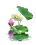 Risty Pageflower