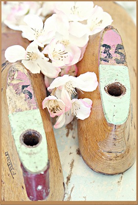 blog 5