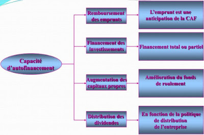 capacité d'autofinancement