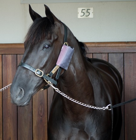 lucia valentina_stalls 4 lucia valentina_stalls 4