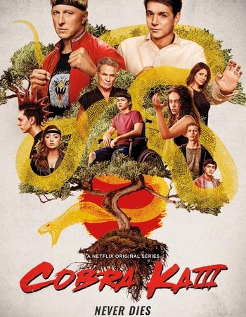 Cobra Kai (2021) Complete Session 3 Download - KatmovieHD