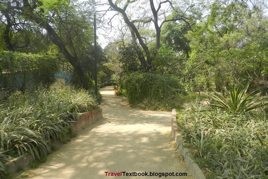 Lodi Garden Delhi