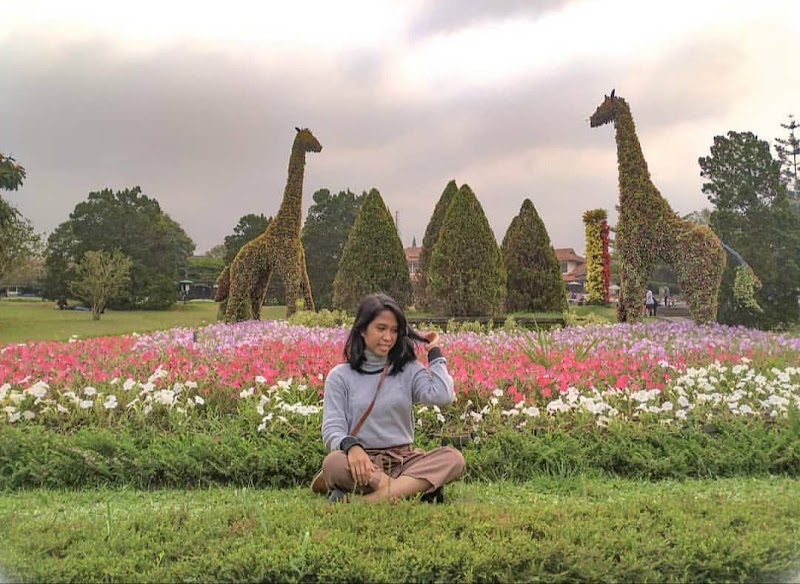 29+ Taman Bunga Nusantara Cianjur Regency West Java, Yang Populer!