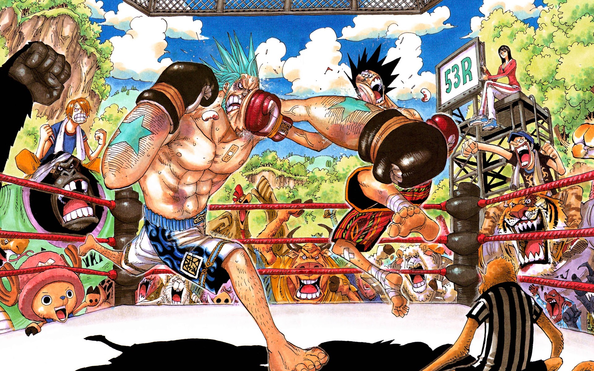 franky vs luffy one piece boxing anime hd wallpaper 1920x1200 0j.