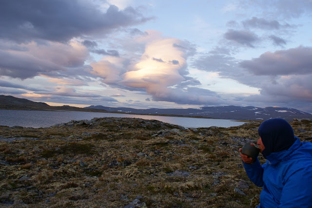 Dovrefjell-Sunndalsfjella nationalpark