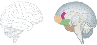 INTERNAL CROSS SECTION