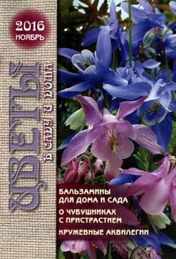 Читать онлайн журнал<br>Цветы в саду и дома (№11 2016)<br>или скачать журнал бесплатно