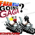 Gaga FarmVille : Cheats for Farmville