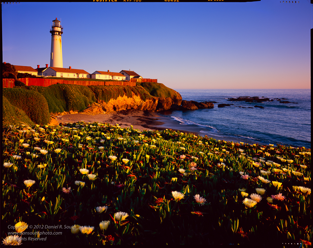 a photo of the pigeon point lighthouse captured on fujichrome velvia 100
