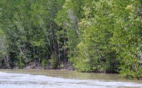images-2