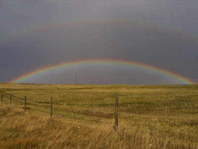 Top American Landscape