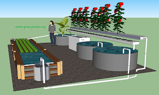  Small Business Ideas: How to Start a Commercial Aquaponics Business