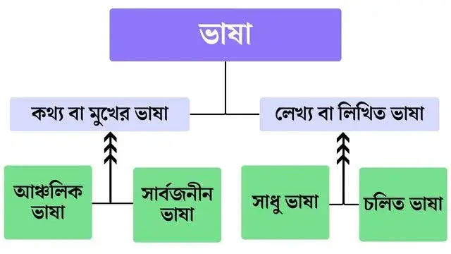 ভাষা কাকে বলে