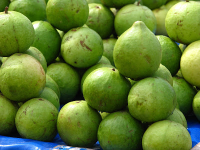 Guava