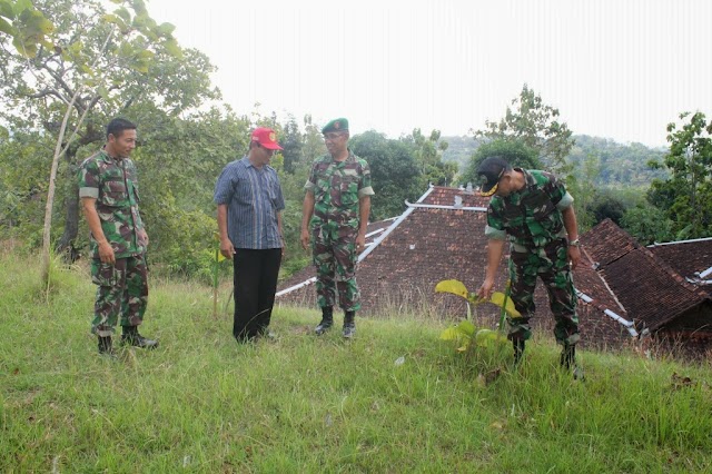 TIM WASEV TINJAU PENGHIJAUAN DI KAMAL BULU