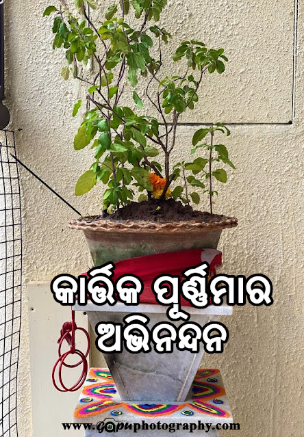 Kartika Purnimara Abhinandana - କାର୍ତ୍ତିକ ପୂର୍ଣ୍ଣିମାର ଅଭିନନ୍ଦନ