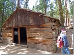 Gamlin Cabin, Centennial Stump, Grant Grove