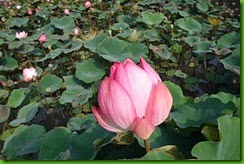 clip_image001[1]