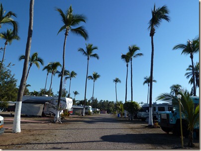 P1000734