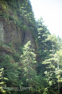 Shannon Hager Photography, Portland Oregon, Wahclella Falls Hike