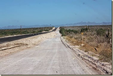 IMG_7856_1024x683