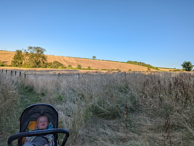 baby in buggy