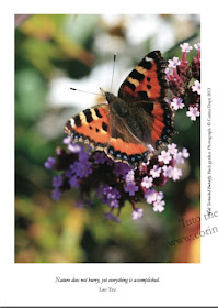 page from Into the Light  by Corina Duyn with image of butterfly and quote: Nature does not hurry but everthing is accomplished- by Lao Tzy