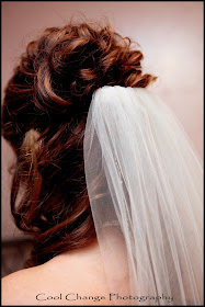 Brides hair and veil