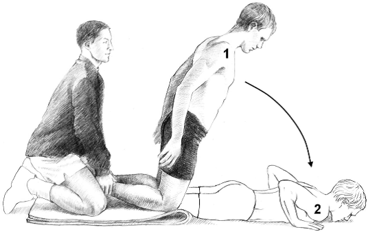 Exercises Eccentric Hamstring Strengthening