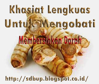 pengobatan herbal alami untuk membersihkan darah menggunakan lengkuas