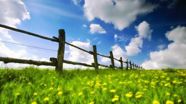 Spring Wallpaper Spring Wallpaper