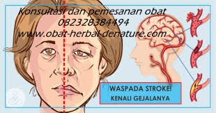 obat stroke herbal,obat herbal stroke,obat stroke denature,obat lumpuh separo,obat stroke ringan,obat stroke berat